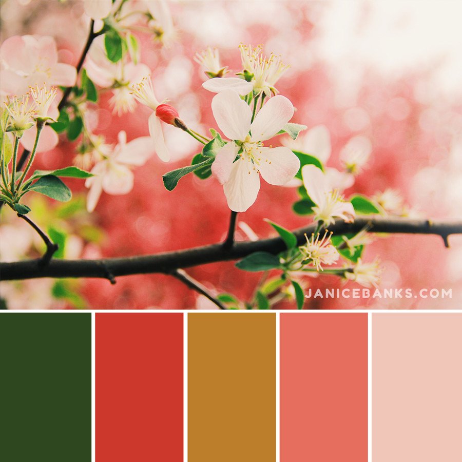 Spring-Color-Palette7