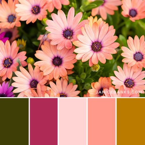 15 Best Color Palettes for Spring - Janice Banks