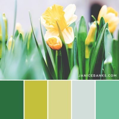 15 Best Color Palettes for Spring - Janice Banks