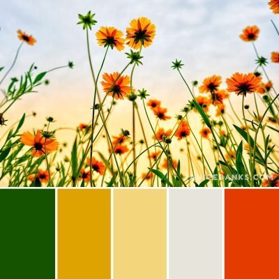 15 Best Color Palettes for Spring - Janice Banks